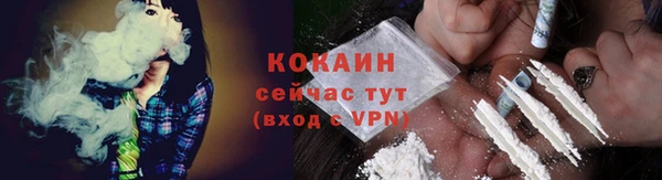 сатива Зеленодольск