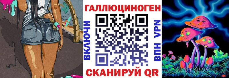 Псилоцибиновые грибы Cubensis  Купить закладки  Павловский Посад 